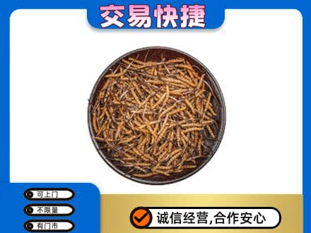 铜仁市石阡礼品回收虫草.jpg